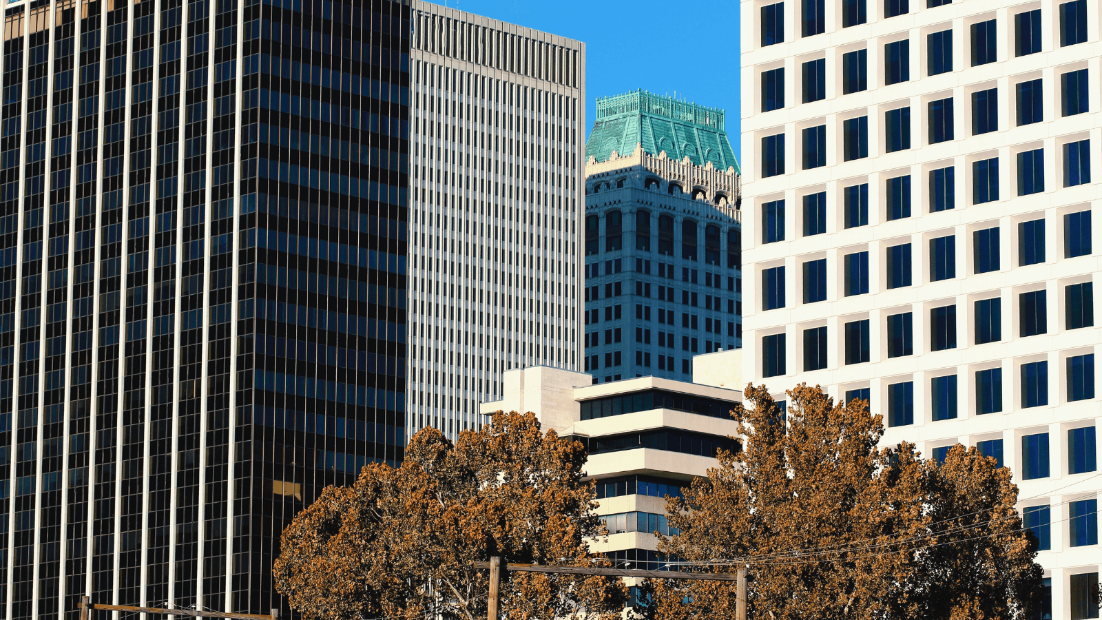 Downtown Tulsa towers above autumn trees